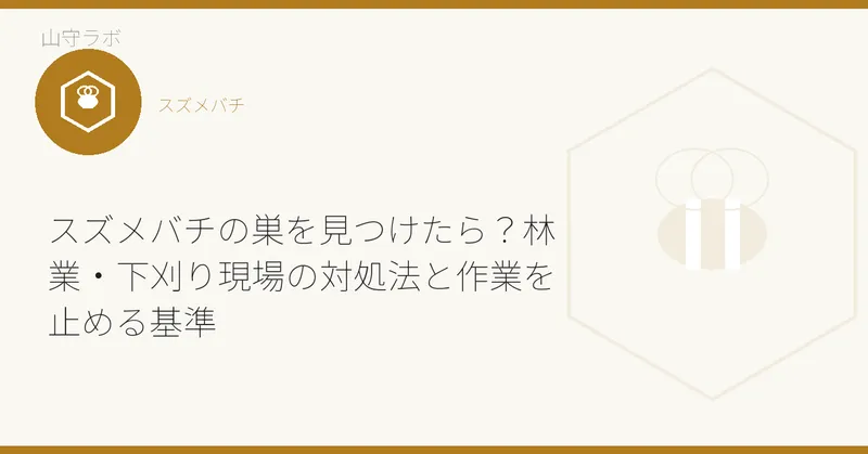 スズメバチの巣を見つけたら?林業・下刈り現場の対処法と作業を止める基準