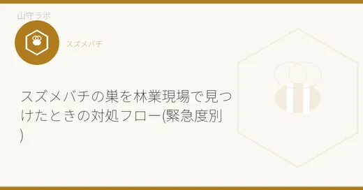 スズメバチの巣を林業現場で見つけたときの対処フロー(緊急度別)