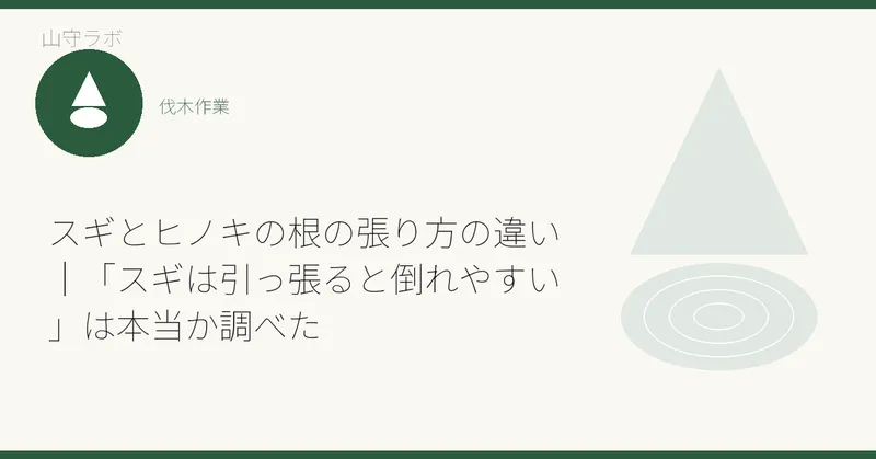 スギとヒノキの根の張り方の違い|「スギは引っ張ると倒れやすい」は本当か調べた
