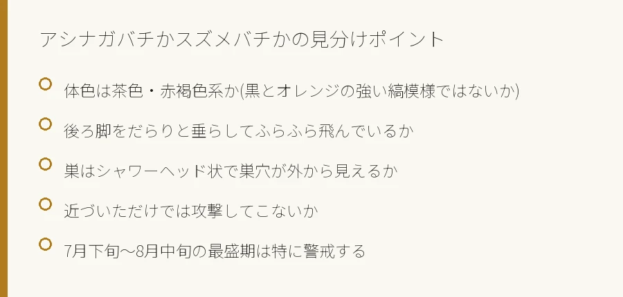 アシナガバチとスズメバチを見分けるポイントのチェックリスト