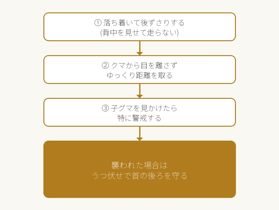 クマと近距離で鉢合わせした場合の対処フロー図