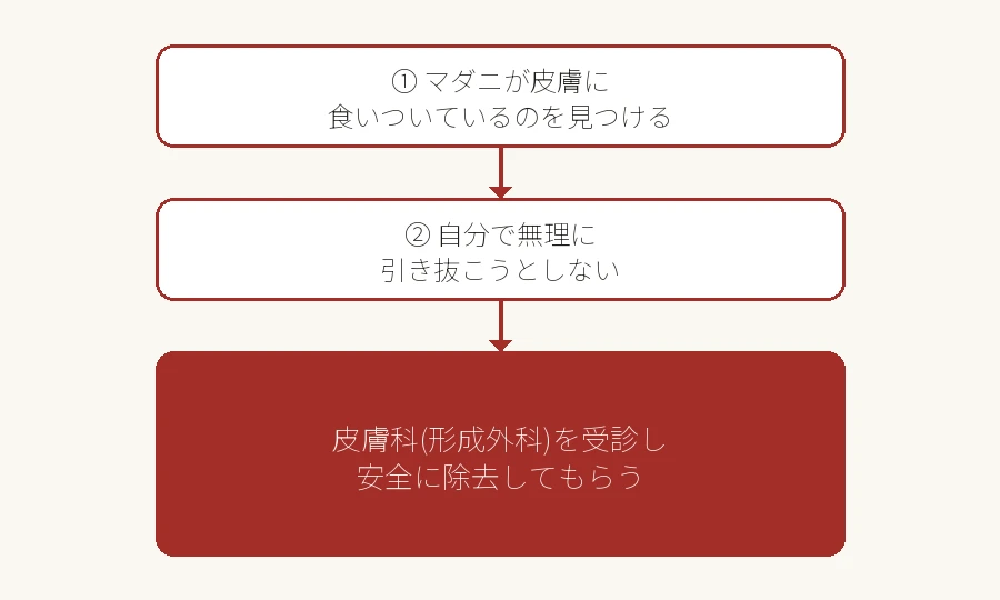 マダニに咬まれた場合の対処フロー図