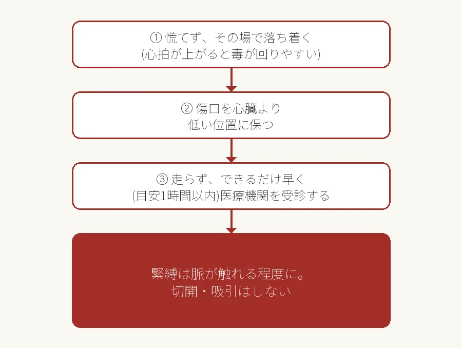 マムシに咬まれた場合の対処フロー図