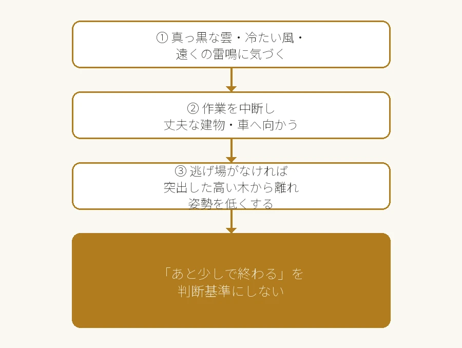 積乱雲のサインに気づいたときの退避行動フロー図