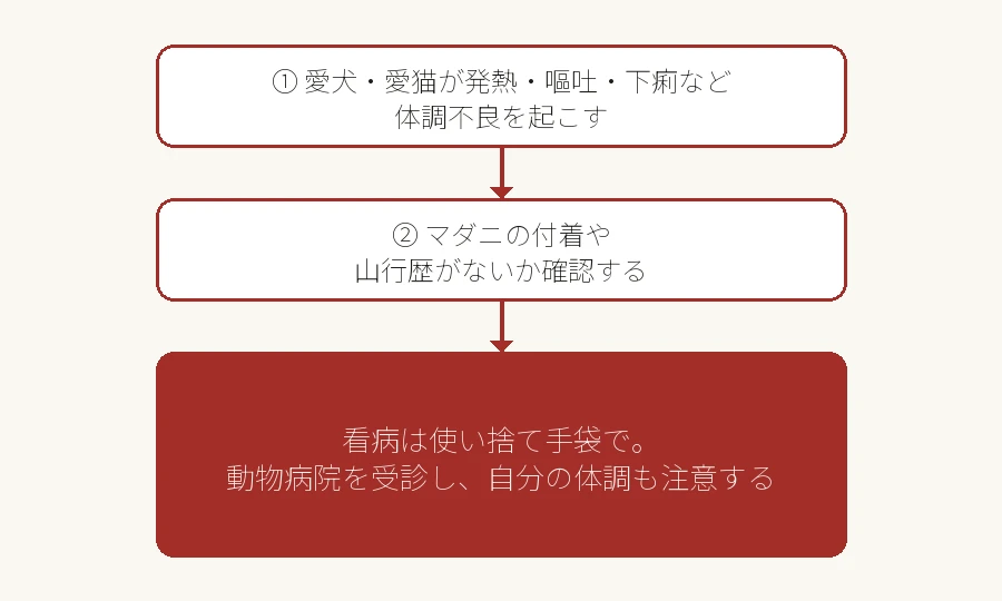 ペットのSFTS感染を疑ったときの対応フロー図