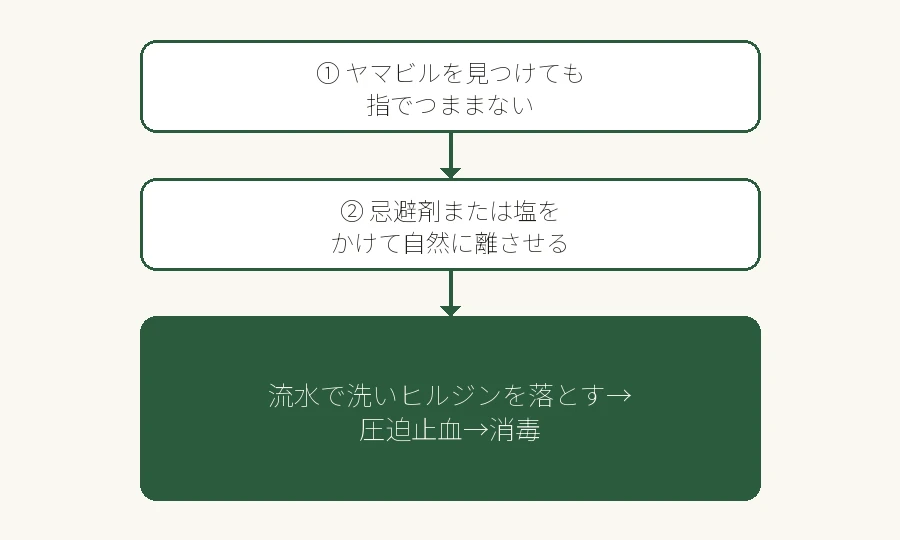 ヤマビルに咬まれた場合の対処フロー図