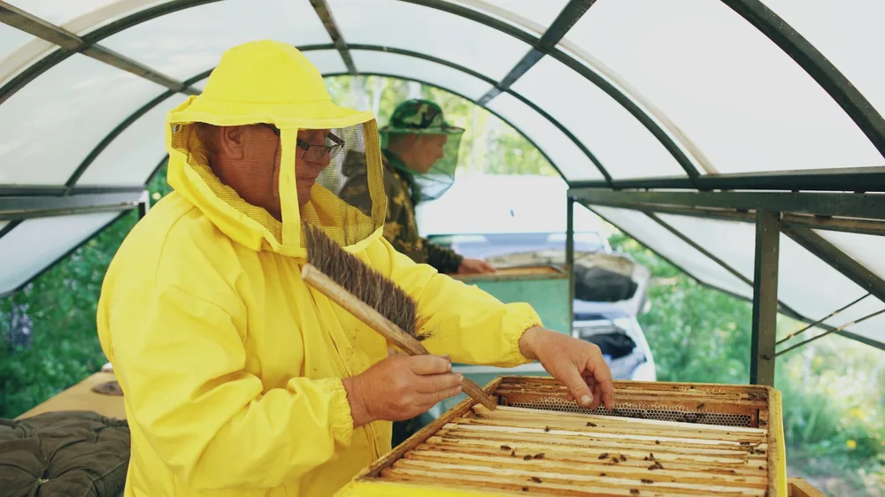 養蜂家が着用する全身防護服の例